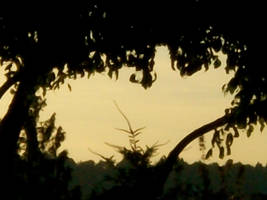 Absence by TheBlackIrisLamia