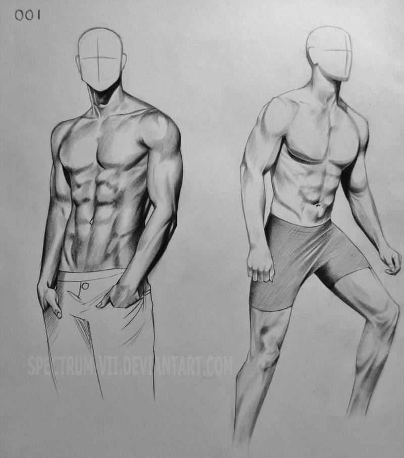Anatomical Study- 001 by Spectrum-VII