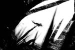 Shadow Killer by david-luzi