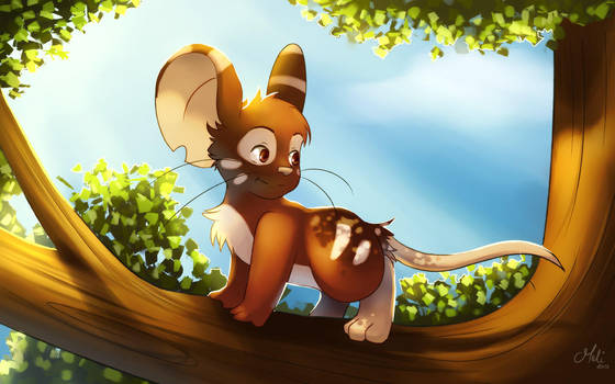 Transformice : New Fur by meli