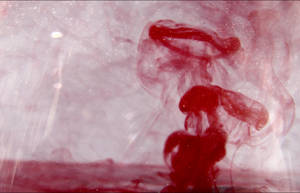 venomous. by witch3110