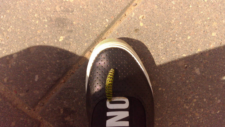 Caterpillar on My foot by KrisFirst Caterpillar on My foot by KrisFirst
