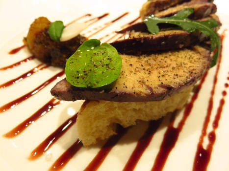 Foie gras by Santian69