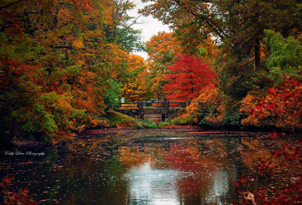 Memories of Autumn by MyLifeThroughTheLens