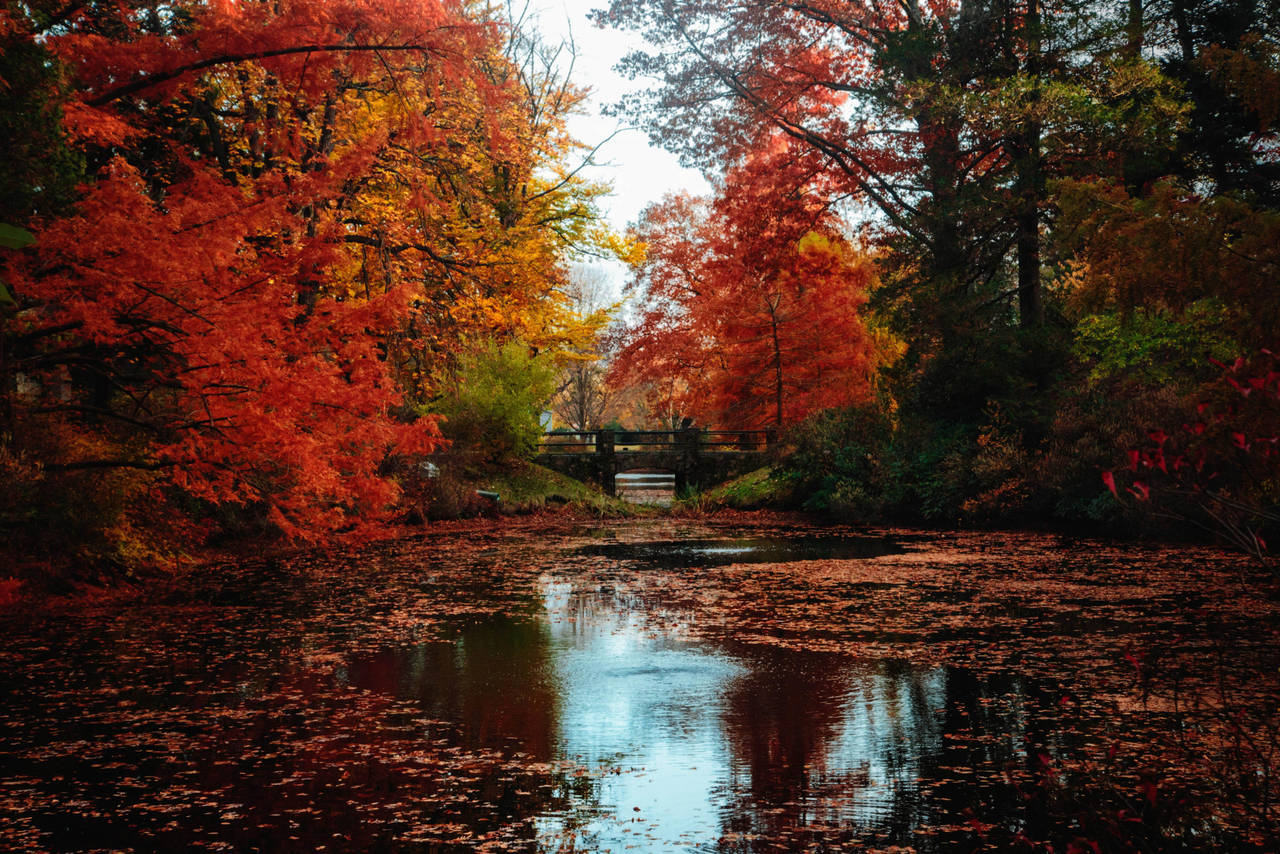 Colorful November by MyLifeThroughTheLens