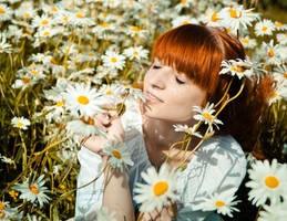 In the field chamomile by YaraKlaproos