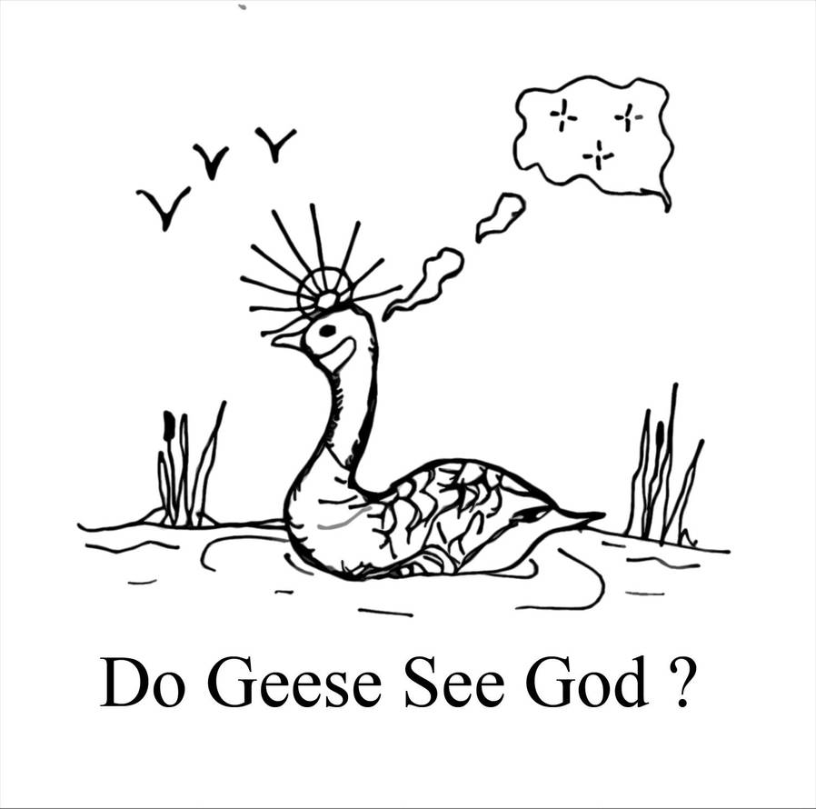 Resultado de imagen de Do Geese See God?