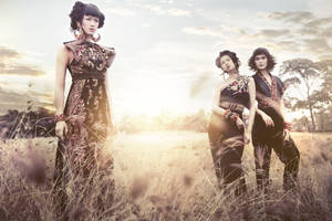 evening rhapsody by robinpika