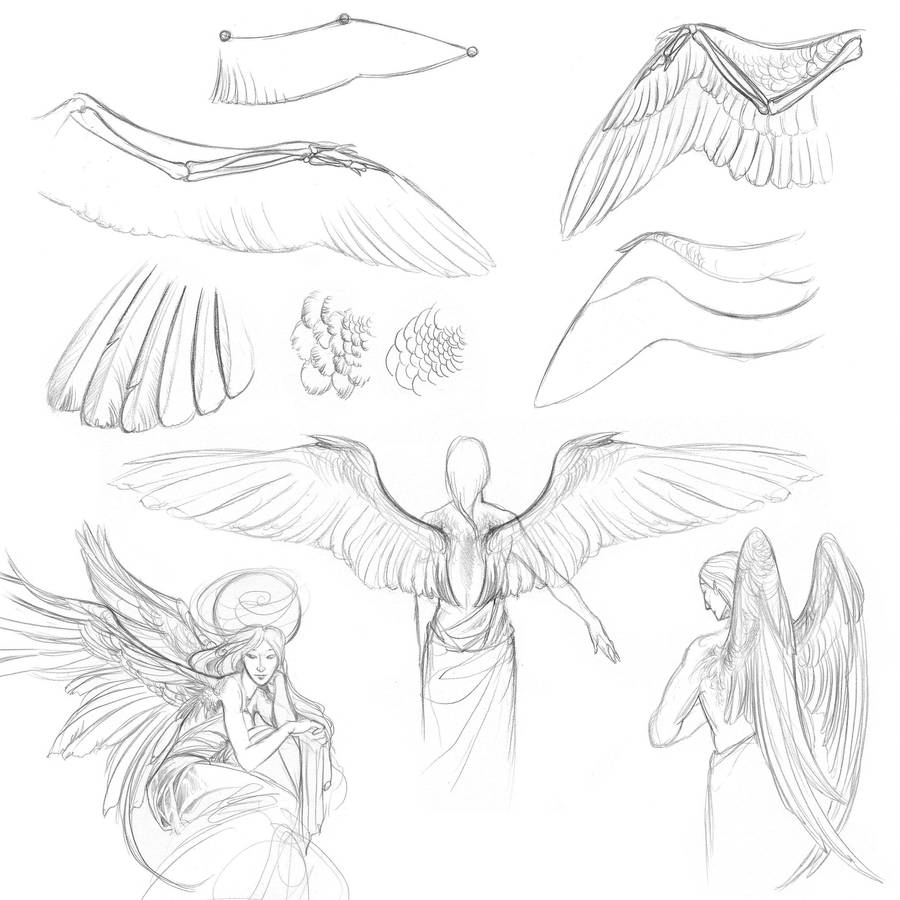 Day 13 of Sketchtember: Wings by impactbooks