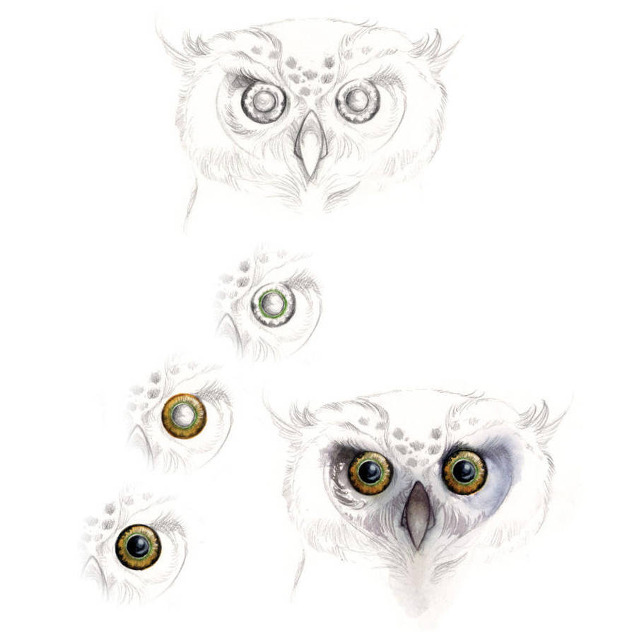 Day 19: Owl by impactbooks