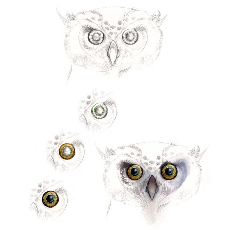 Day 19: Owl by impactbooks