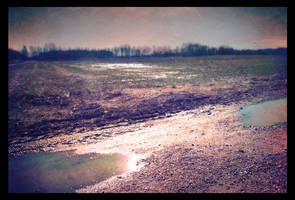 after heavy rain by PhotoFrama