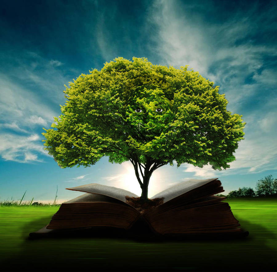 Wisdom Tree by Doug222