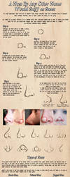 Everything Concerning Noses by Mytherea