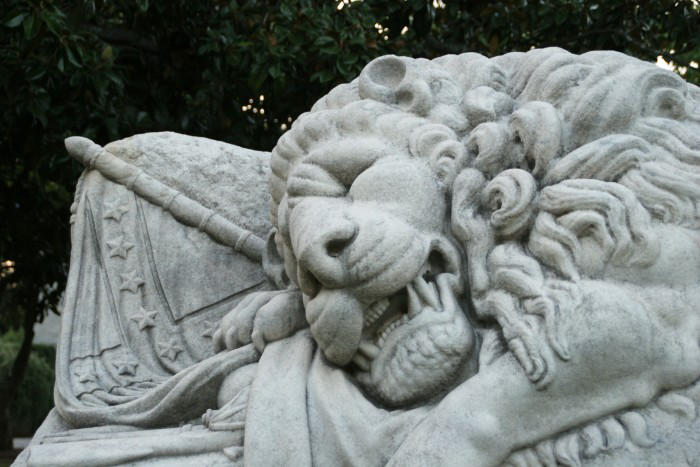 The Lion of Atlanta, closeup by mumblyjoe