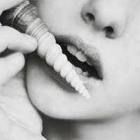 shellmouth by LittleFlair