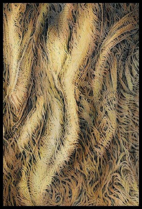 Neurodegeneration - Tangle by SalHunter