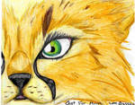 Cheetah Cub by x-Venell-x