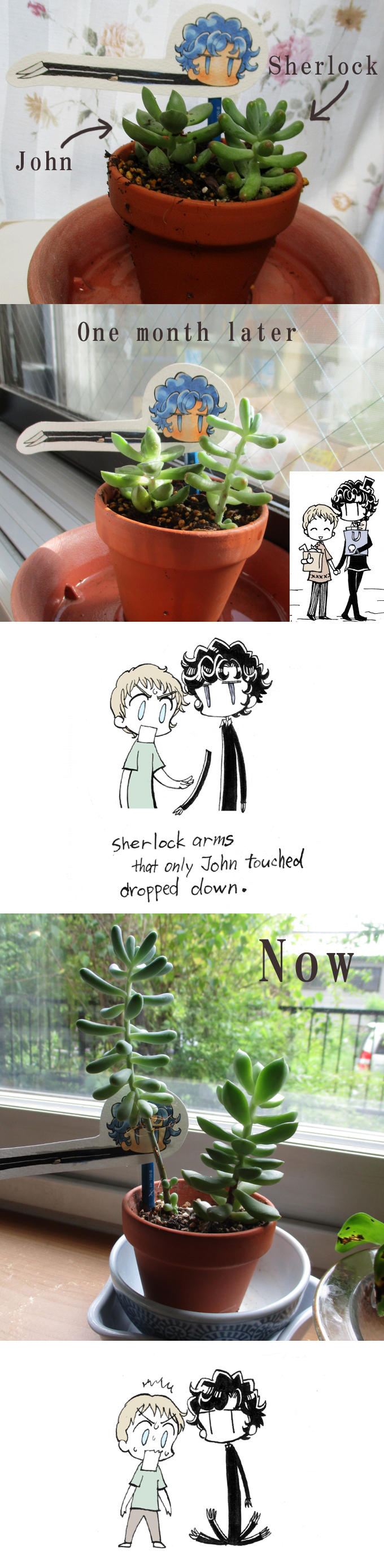 Sherlock and John in my house by daichikawacemi