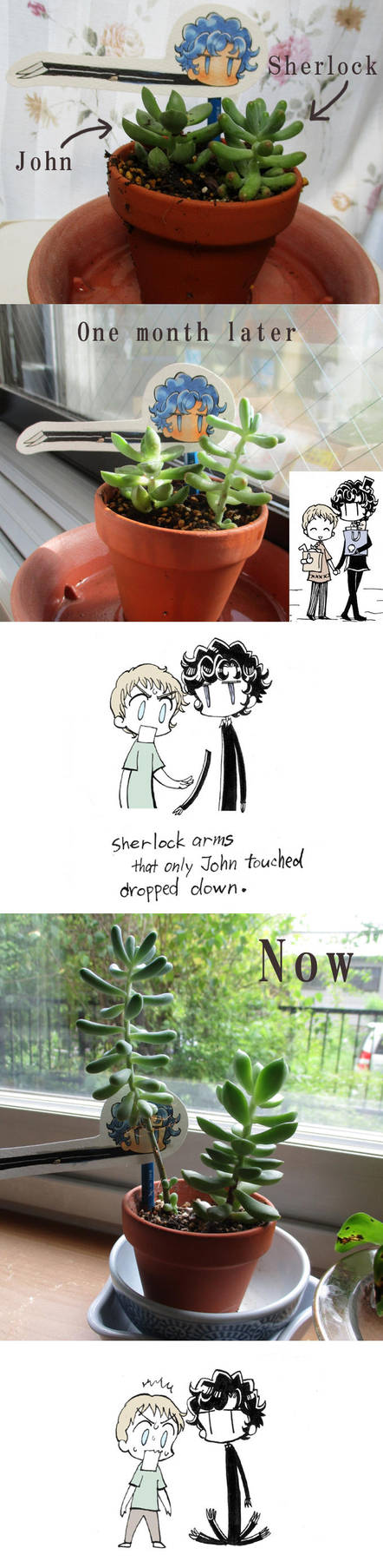 Sherlock and John in my house by daichikawacemi