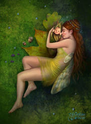 Fairy's Treasure by maril1