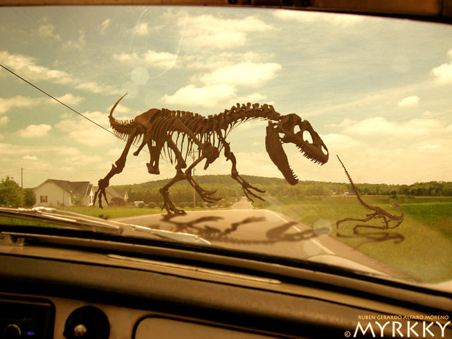 Dinos by myrkky