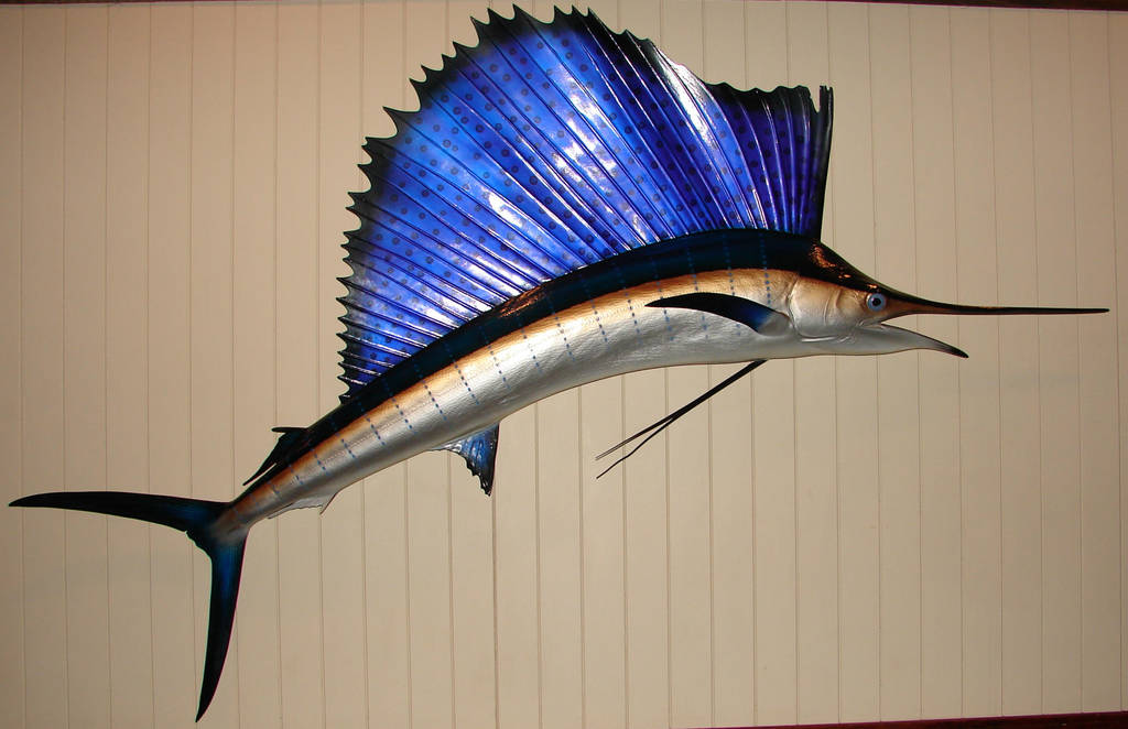 Blue Marlin Fish by FantasyStock