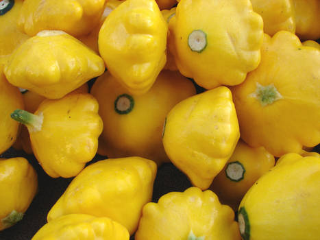 Yellow Cucurbita Pepo Squash by FantasyStock