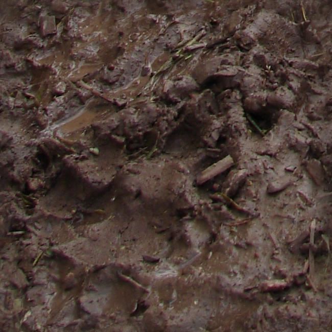 Seamless Wet Mud Texture by FantasyStock