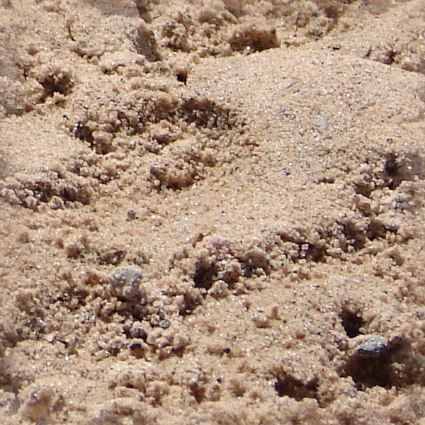Gritty Seamless Sand Texture by FantasyStock