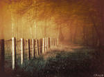 Path Of Illusions by Weissglut