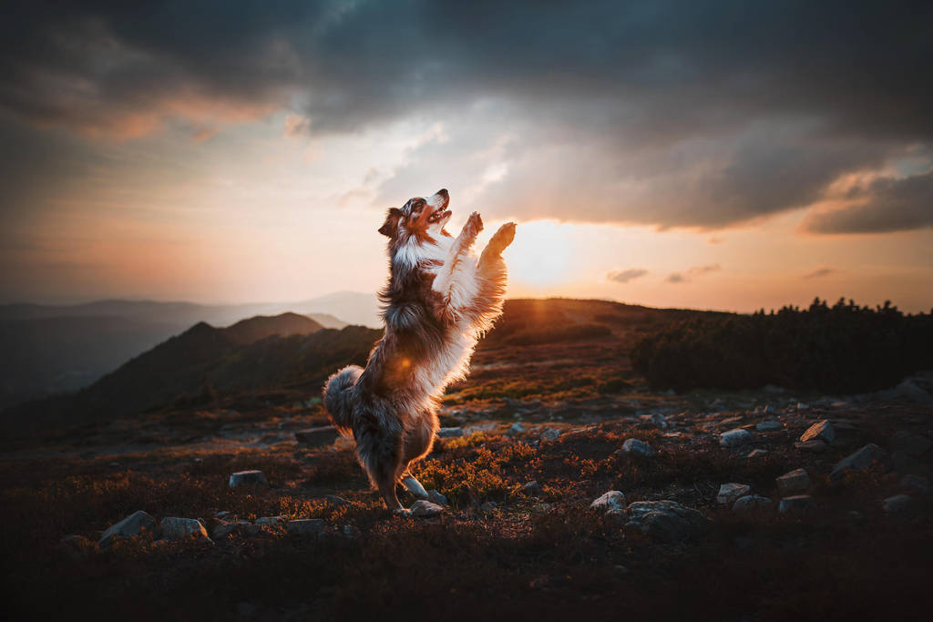 Dancing in the sunset by KristynaKvapilova