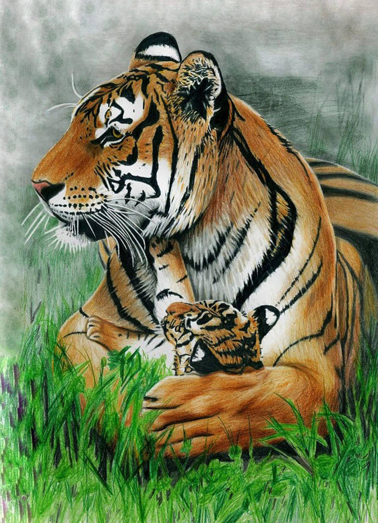 Mother's Love - Colored Pencil Drawing by JasminaSusak on ...
