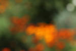 Colorful Background 3 by wuestenbrand