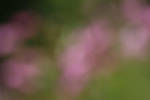 Colorful Background 6 by wuestenbrand