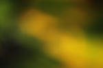 Colorful Background 7 by wuestenbrand