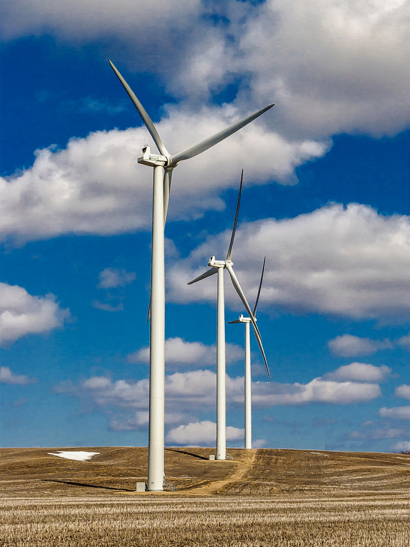 Wind Seekers by WayneBenedet