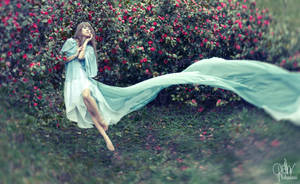 Fly High by ShadaniTheManul