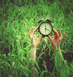 there in the fields by She-hates-mondays