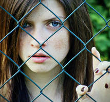 some fences by She-hates-mondays