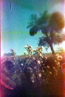 Nikon_316_TURA_cross by xxlogre