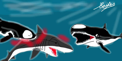 Brygmophyseter v.s Megalodon by DinoGuy777