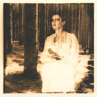 trees and bird. by kahoxworth