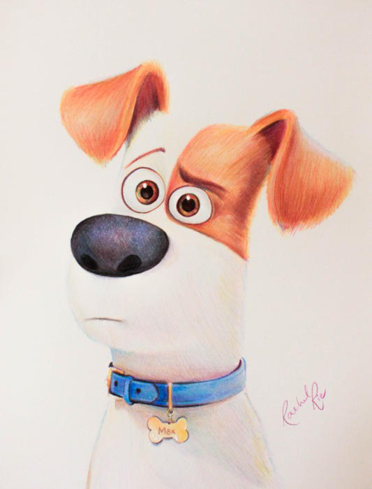Max - Secret Life of Pets done in Pencil by RachelRie on DeviantArt