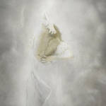 Despair by Notvitruvian
