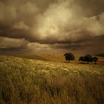 DREAMSCAPE IX by Karezoid