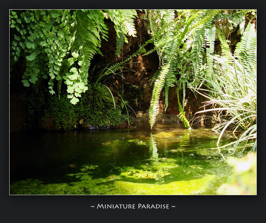 Miniature Paradise by AeonOfTime