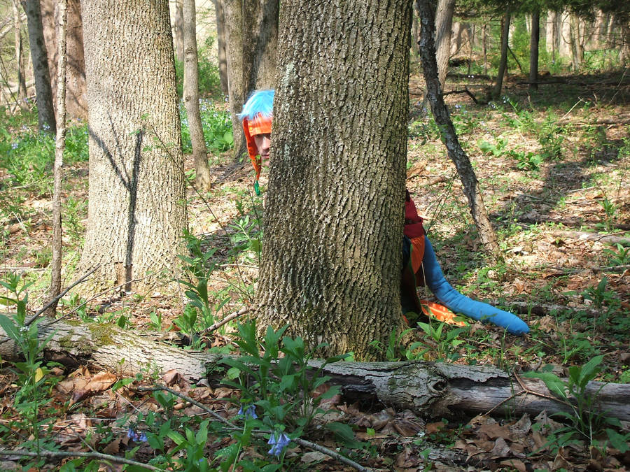 Forest Sentry by kilted-katana