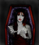 Vampire Erin-Coffin by VampHunter777