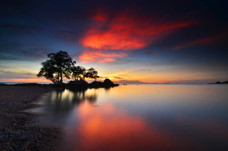 Tree At Sunset by comsic Tree At Sunset by comsic